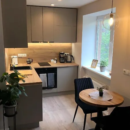 Modern Near The - 5 Min Walk Apartment Liepaja